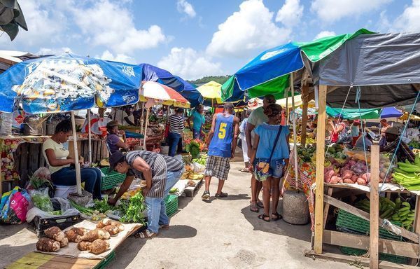 Castries Market tropical fruits and produce